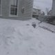 snow, nemo, charlotte, blizzard