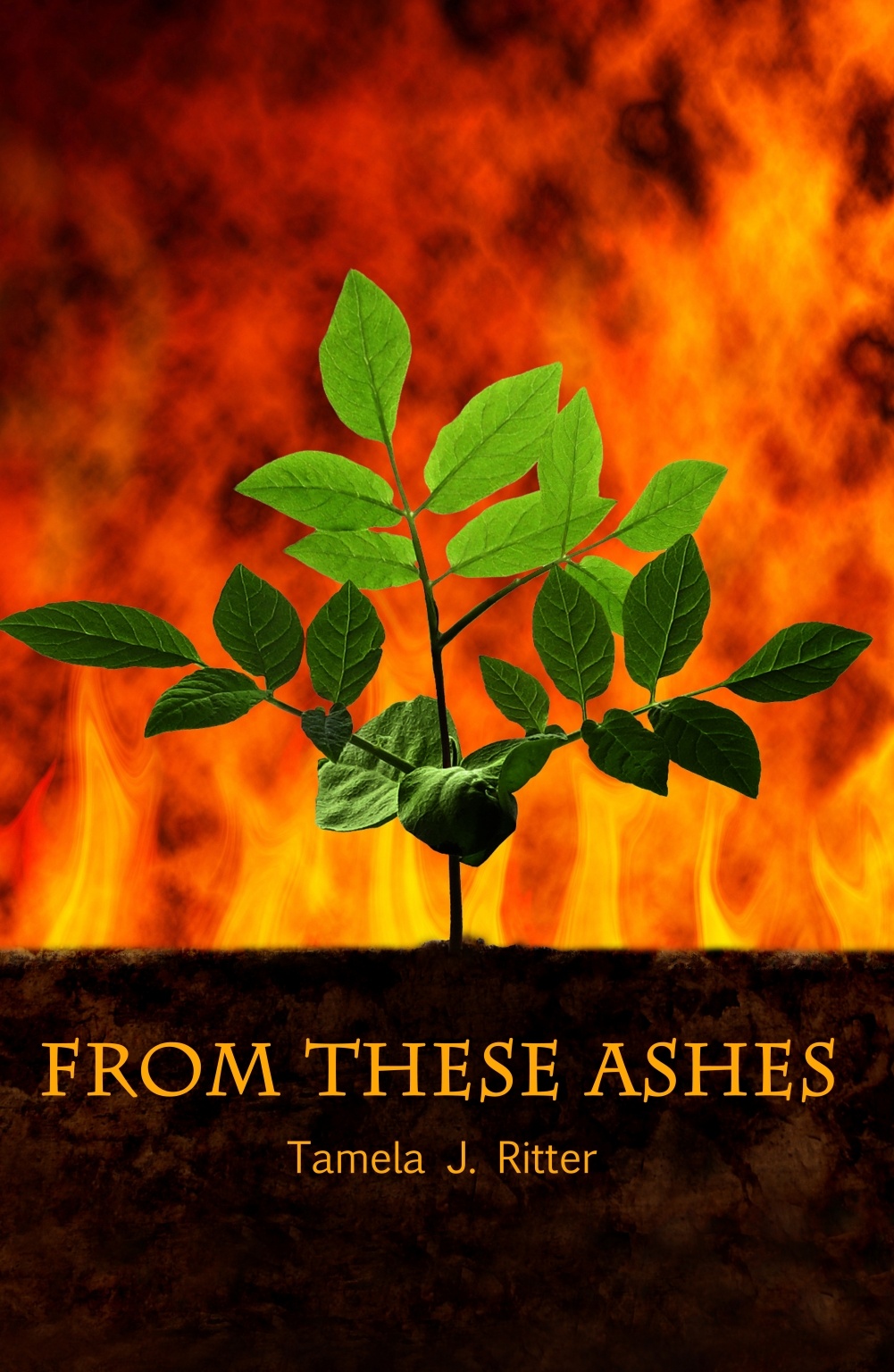 From These Ashes